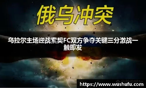 bsports官网入口